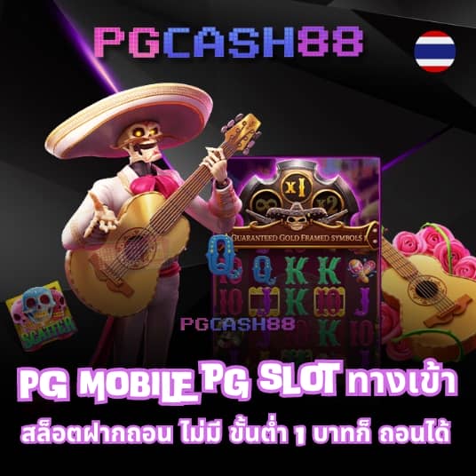 22pg